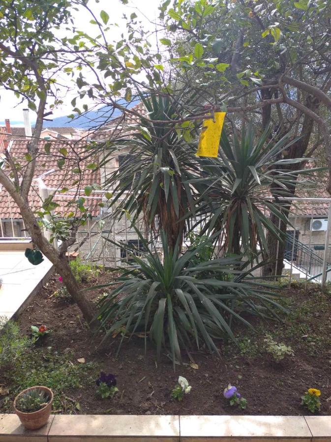 Apartment Cepic Herceg Novi Exteriér fotografie